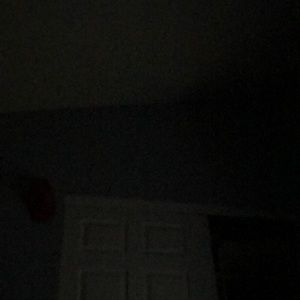 Meet your Posher, Bradlee